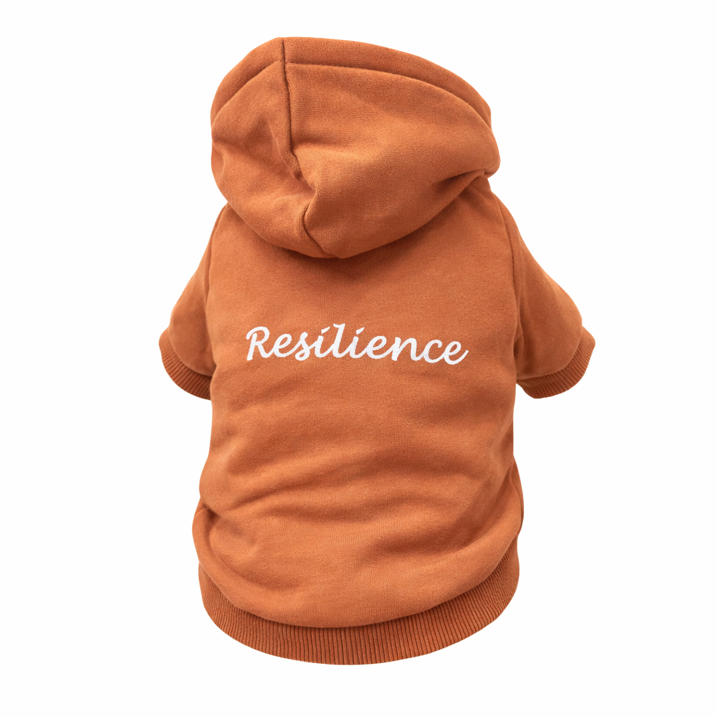 Pet Hoodie